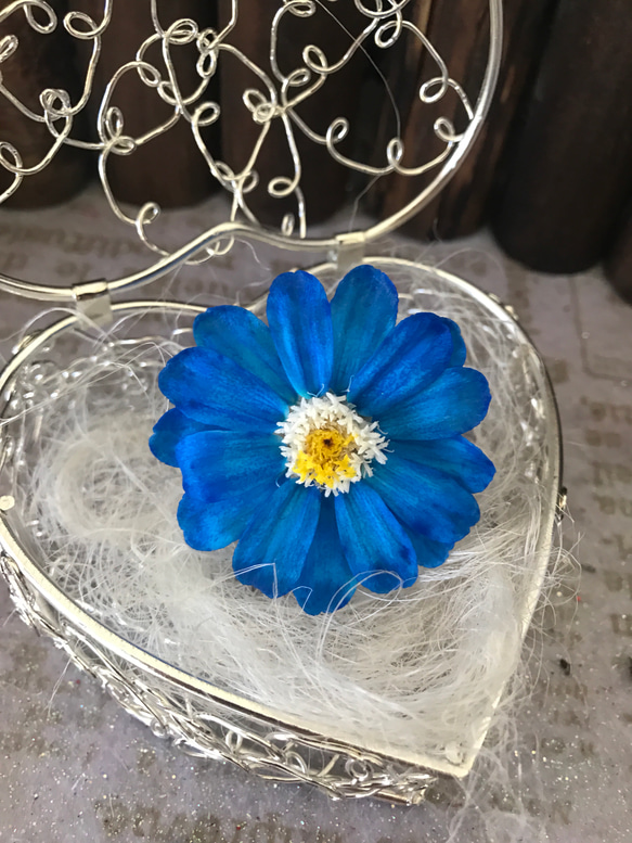 ロイヤルブルージニアアレンジ加工❣️ハーバリウム花材プリザーブド