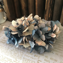 珍色バイカラーアジサイ小分け❣️ハーバリウム花材プリザーブドフラワー 1枚目の画像