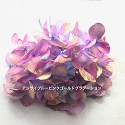 珍色バイカラーアジサイ小分け❣️ハーバリウム花材プリザーブドフラワー 2枚目の画像