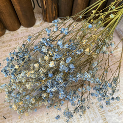 大地農園アンティークプリザカスミ草ブルー小分け❣️ハーバリウム花材プリザーブドフラワー 1枚目の画像
