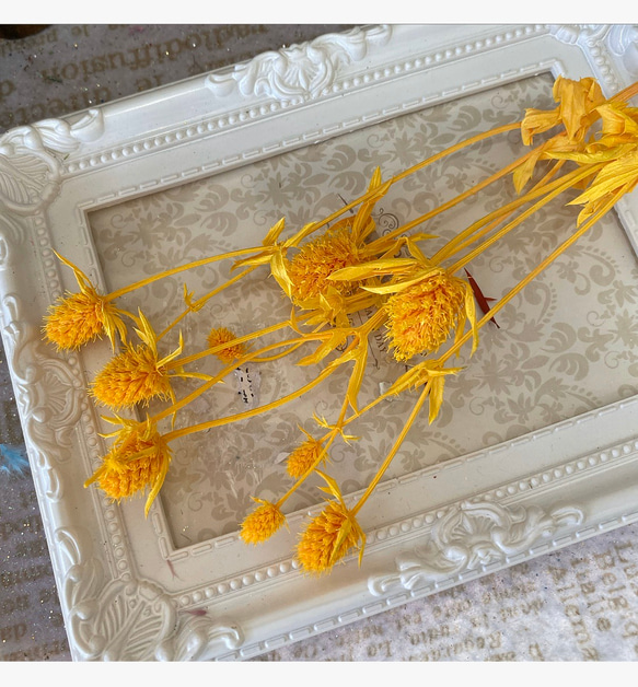 希少花材エリンジュームイエローアレンジ加工小分け❣️ハーバリウム花材プリザーブドフラワー 1枚目の画像
