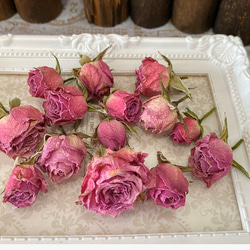 ドライフラワー❇️ミニバラ 長め❣️ 0_b349f00821ad1dc7dbf73fee8c19