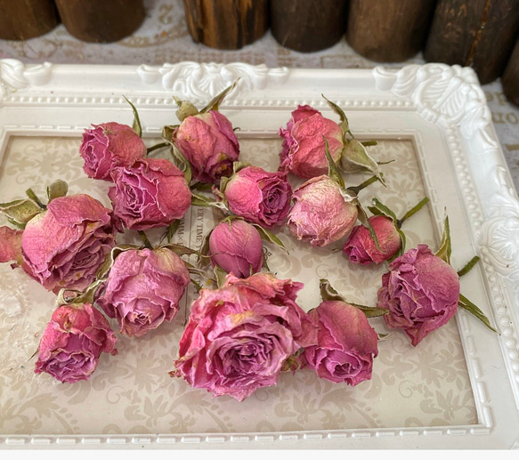 ドライフラワー❇️ミニバラ❣️ ❇️ドライフラワー❣️ミニバラ 【公式通販】