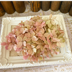 2024年再入荷❣️ペッパーベリードライフラワーナチュラルピンク小分け