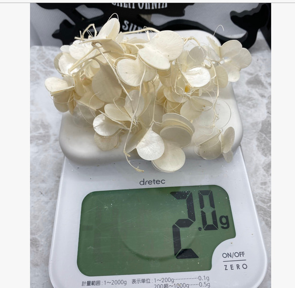 大地農園新製品❣️ミニ山芋白小分け❣️ハーバリウム花材プリザーブドフラワー 2枚目の画像
