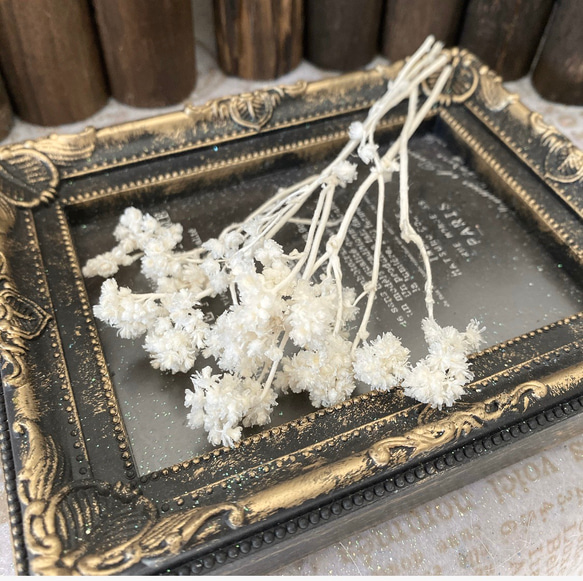 クリスパム白小分け❣️ハーバリウム花材カラードライフラワー 1枚目の画像
