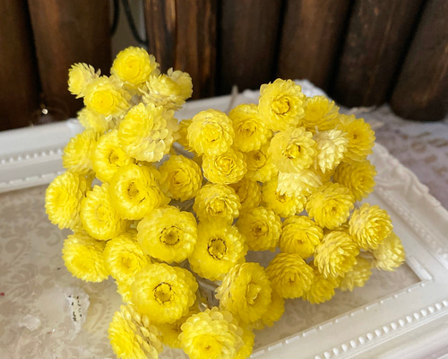 0_07f9a855e40f6d03b31e4381bc7b