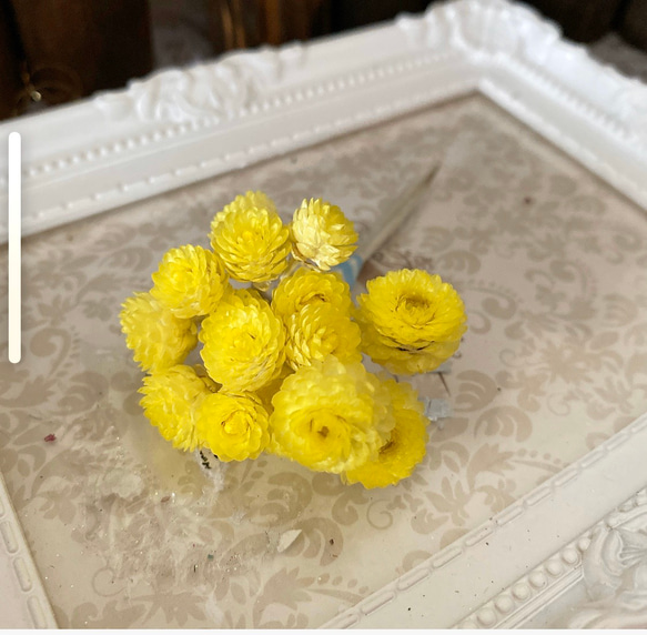 大地農園イモーテルイエロー小分け❣️ハーバリウム花材プリザーブドフラワー 2枚目の画像