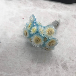 東北花材イモーテルライトブルーフロート小分け❣️ハーバリウム花材プリザーブドフラワー 2枚目の画像