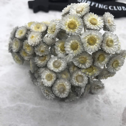 東北花材イモーテルグレー小分け❣️ハーバリウム花材プリザーブドフラワー 1枚目の画像