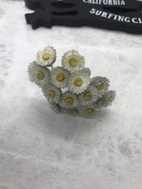東北花材イモーテルグレー小分け❣️ハーバリウム花材プリザーブドフラワー 2枚目の画像