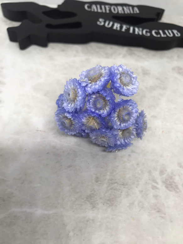 東北花材パープリッシュブルーイモーテル小分け❣️ハーバリウム花材プリザーブドフラワー 2枚目の画像