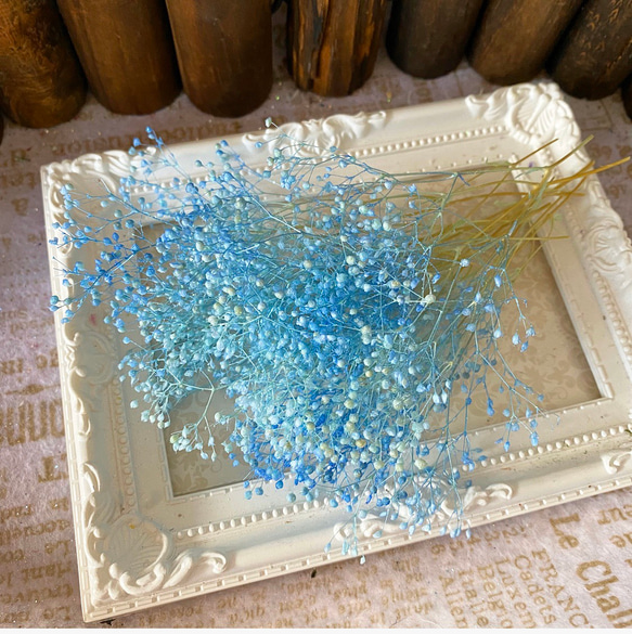 ソフトミニカスミ草ブルーブルーオーロララメ❣️アレンジ加工小分け❣️ハーバリウム花材プリザーブドフラワー 1枚目の画像