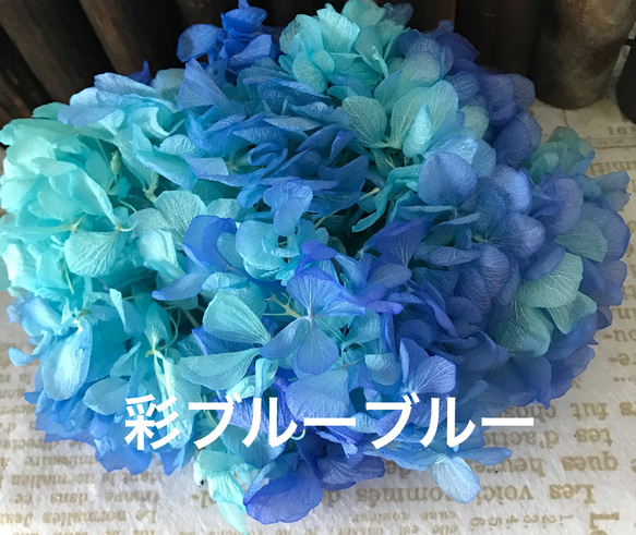 東北花材高価花材❣️彩ブルーブルーアジサイ小分け❣️ハーバリウム花 