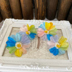 レインボージニアアレンジ加工一輪販売❣️ハーバリウム花材プリザーブドフラワー 1枚目の画像