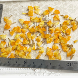 スターチスアレンジ加工パーツ❣️ハーバリウムボールペンレジンアクセサリー花材ドライフラワー 3枚目の画像