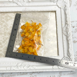 スターチスアレンジ加工パーツ❣️ハーバリウムボールペンレジンアクセサリー花材ドライフラワー 4枚目の画像