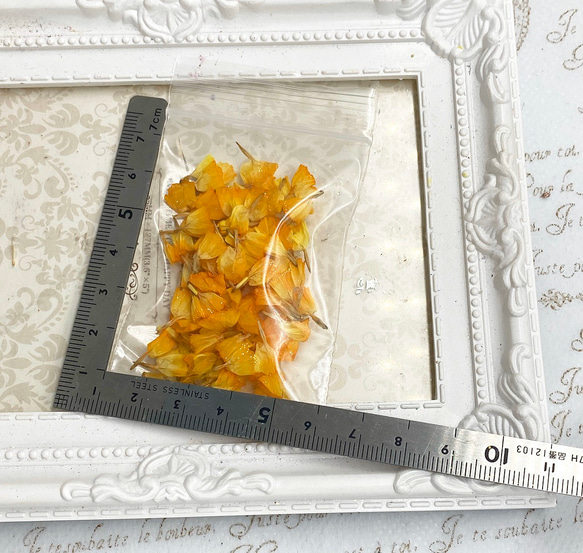 スターチスアレンジ加工パーツ❣️ハーバリウムボールペンレジンアクセサリー花材ドライフラワー 4枚目の画像