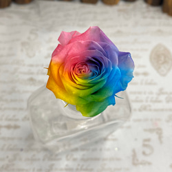 ラメ付き対応可能❣️『七色レインボーローズ』アレンジ加工一輪販売