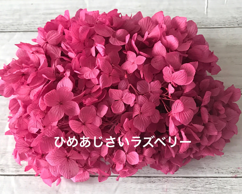 岩手名産みちのくやひめあじさいラズベリー小分け❣️ハー