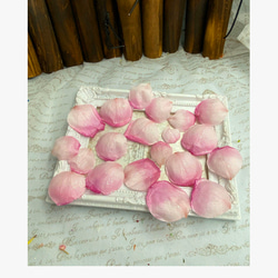 ローズサクラローズグラデーションアレンジ加工花びら販売❣️ハーバリウム花材プリザーブドフラワー 1枚目の画像