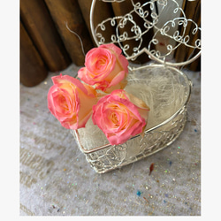 ビビアンローズアレンジ加工一輪販売❣️ハーバリウム花材プリザーブドフラワー 2枚目の画像