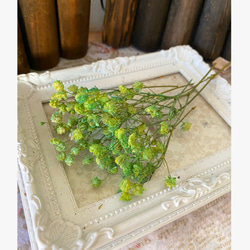 アンティークプリザカスミ草アレンジ加工小分け❣️ハーバリウムボールペンレジンアクセサリー花材プリザーブドフラワー 2枚目の画像