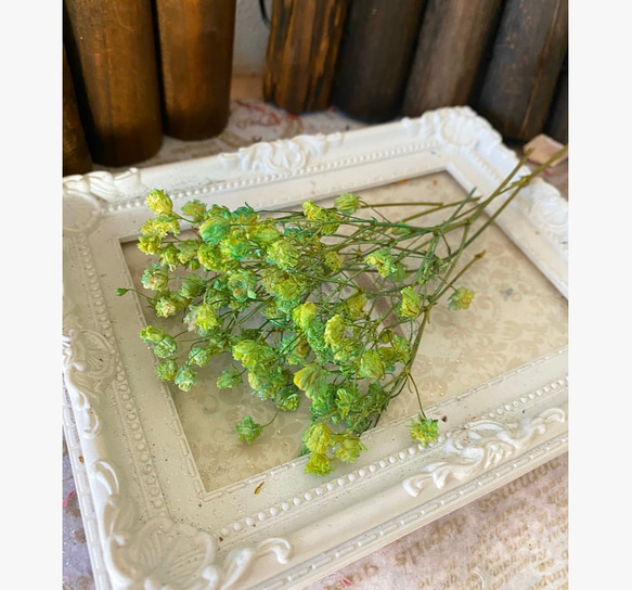 アンティークプリザカスミ草アレンジ加工小分け❣️ハーバリウムボールペンレジンアクセサリー花材プリザーブドフラワー 2枚目の画像