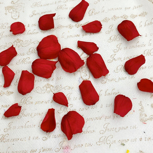 ナチュラルシーグラス AH03 ホワイト、グリーン、茶ミックス 極小〜大  