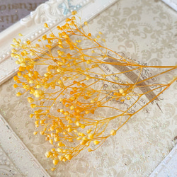 アレンジ加工ソフトミニカスミ草レモンオレンジグラデーションオーロラ❣️ハーバリウム花材プリザーブド 3枚目の画像