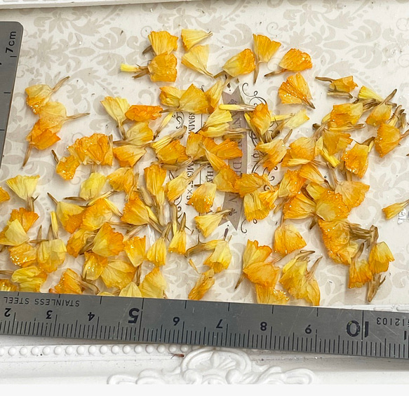 スターチスパーツアレンジ加工❣️淡ピンクスカイブルーキラキラ✨ハーバリウムボールペンレジンアクセサリー花材ドライフラワー 2枚目の画像