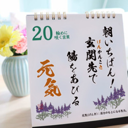 敬老の日！猫好きの祖父に「日めくりカレンダー」おじいちゃん大好き＆日々猫喝セット！敬老の日・帰省暮 5枚目の画像