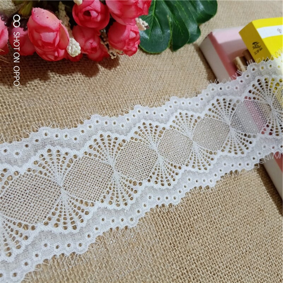  第3張的照片