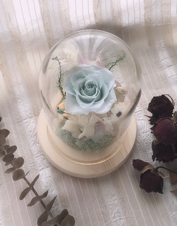 ｛微語花坊｝永生玫瑰玻璃罩～水藍 第2張的照片