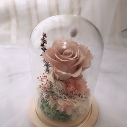 ｛微語花坊｝永生玫瑰玻璃罩～春之語 第1張的照片