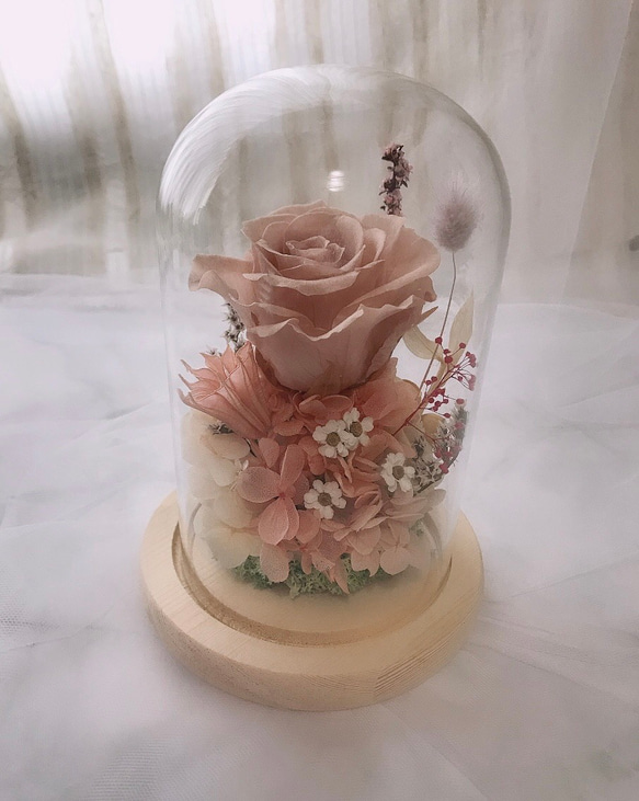 ｛微語花坊｝永生玫瑰玻璃罩～春之語 第3張的照片