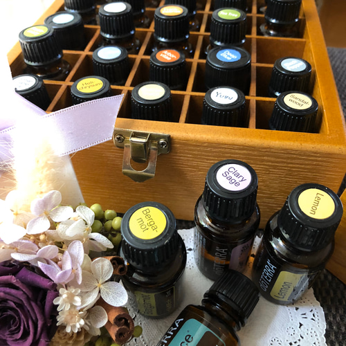 再販】アロマワックスサシェ 秋の豊穣 ハロウィン 大人気 ♡ ドテラ