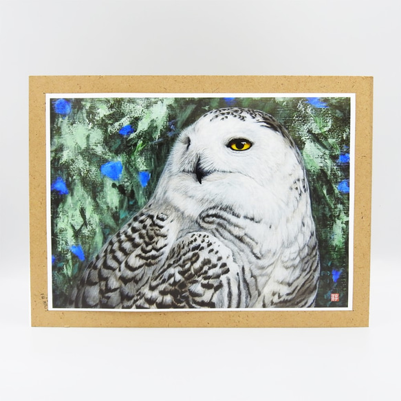 Atelier Owlさま no 