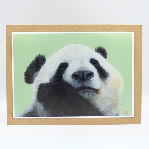 A4アニマルアートプリント 「パンダラ～」パンダ 額無し 版画 おやびん