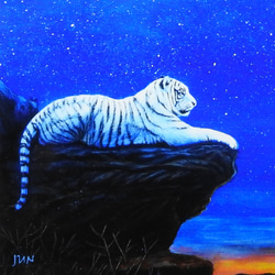 高光沢紙「星雲と白虎」A4アートプリント /干支/星雲 /星/寅/額なし