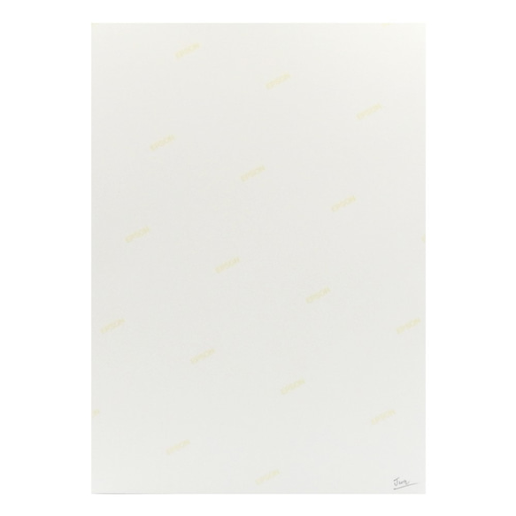 「星合～くじらのジャンプ～ 」A4アートプリント/ 高光沢紙 /天の川 /星雲/【再販】 7枚目の画像