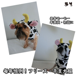 犬服・受注生産　毎年恒例！可愛い・干支のフリース着ぐるみ犬服　#年賀状　#初詣　#2021　#丑年　#干支　#着ぐるみ 1枚目の画像