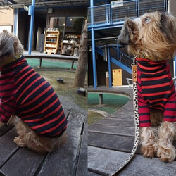 【犬服オリジナル】重ね着に・オレンジボーダー・袖切り替えハイネック犬服　mrfw0244　#犬服通販 1枚目の画像