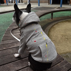 ■ぶんページ■ フレンチブルドッグ ボストンテリア 犬服 オンラインストア限定・暖かフリース・牛柄（ホルスタイン）柄犬