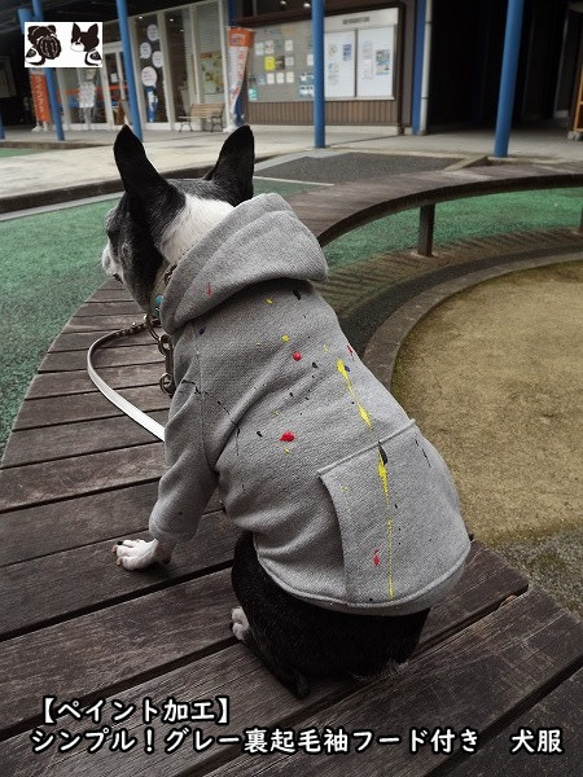 ペイント加工グレー・袖フード付Tmrfw0306 #犬服通販 #ボストン
