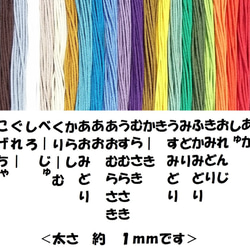 みどり・くろ　イヤリング or チタンピアス　メドゥプ飾り結び花結び 3枚目の画像