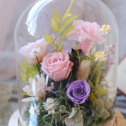 玻璃鐘罩/紫色/不凋花/永生花/乾燥花/走進花園放鬆/禮物 第4張的照片