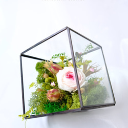 【漫步森林】粉色/永生花/不凋花/幾何金屬框/玻璃 第3張的照片
