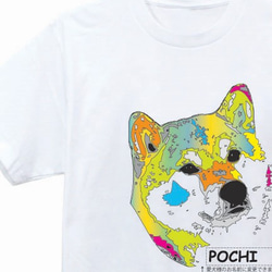 愛犬の名前が入れられるパステル柴犬Tシャツ 4枚目の画像