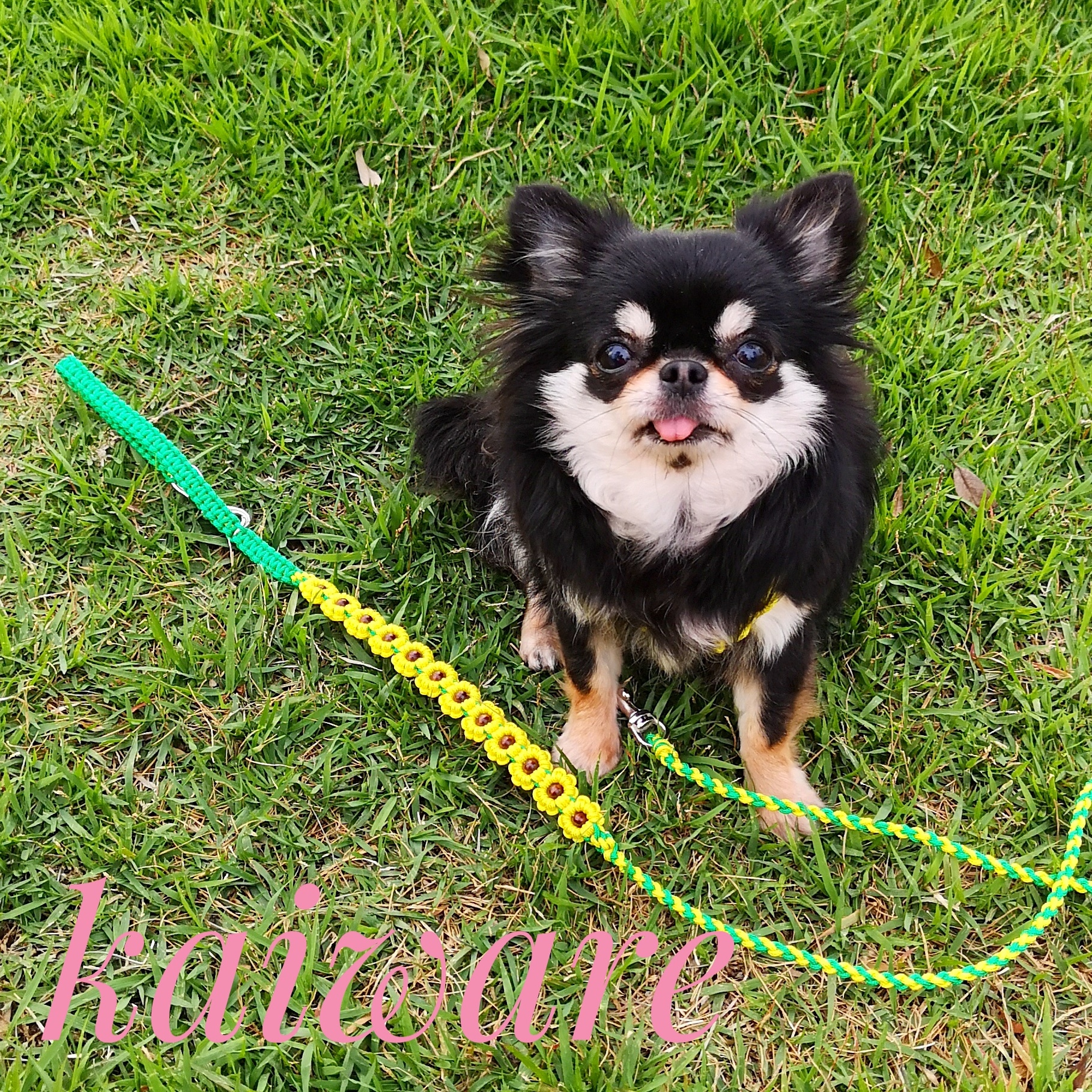 パラコード リード かわいい ひまわり 小型犬 チワワ ティーカッププードル ヨーキー ポメラニアン 軽い